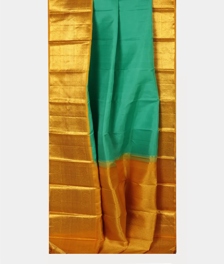 Green Handwoven Kanjivaram Silk Saree T4484922