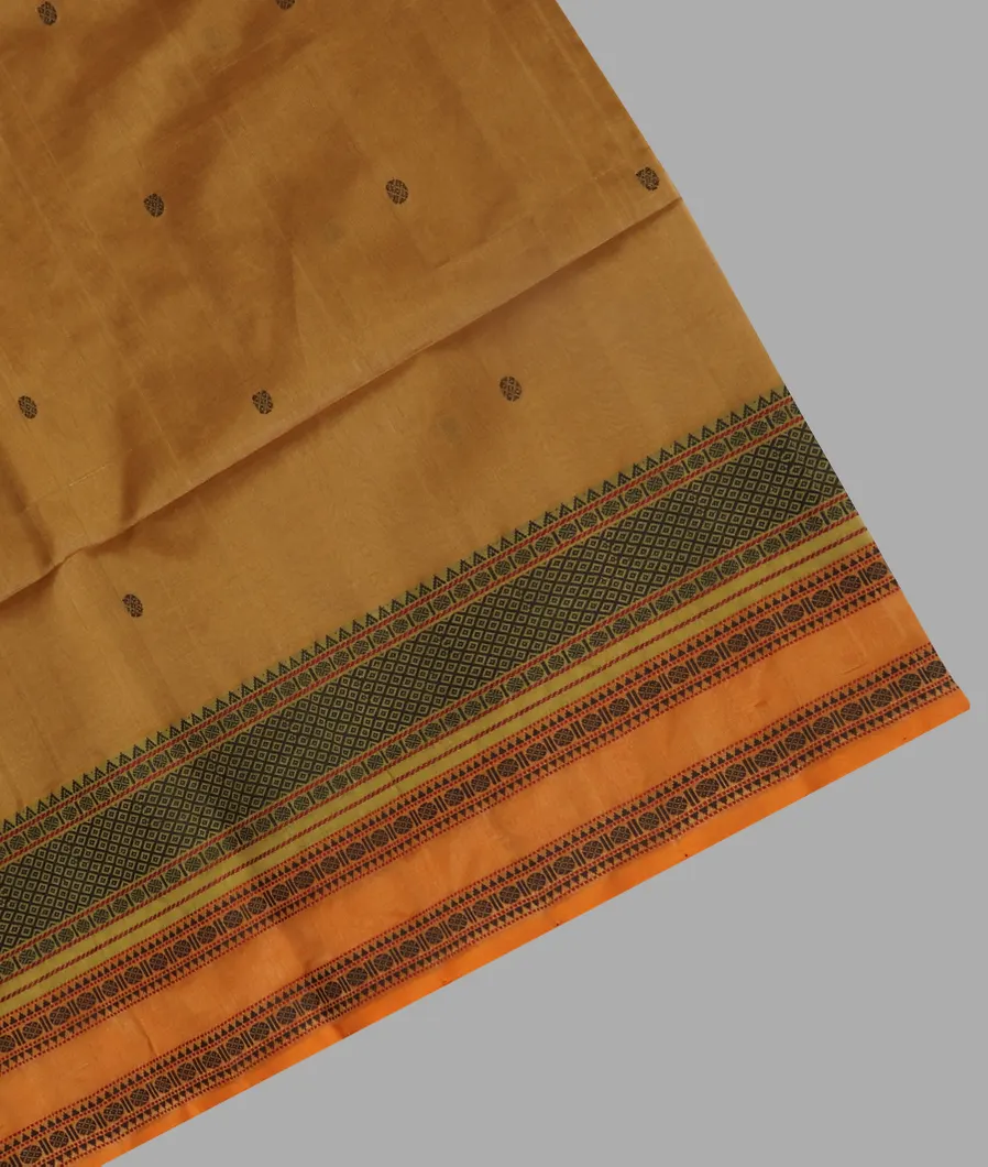 Beige Silk Cotton Saree T460348-image