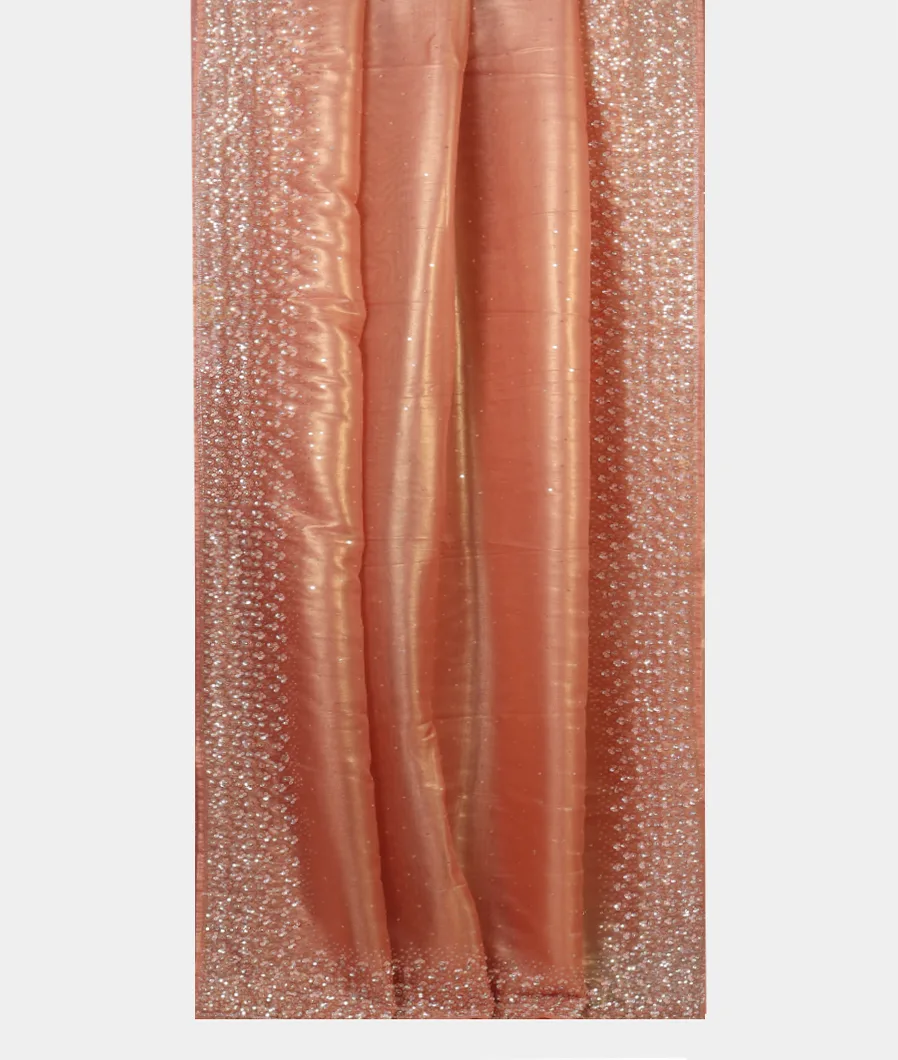 peach-tissue-organza-saree-t452208-t452208-b