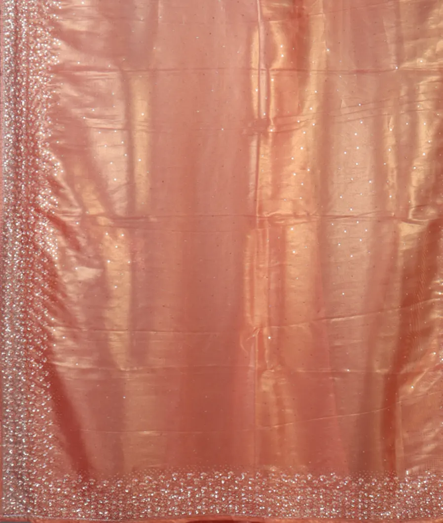 peach-tissue-organza-saree-t452208-t452208-d