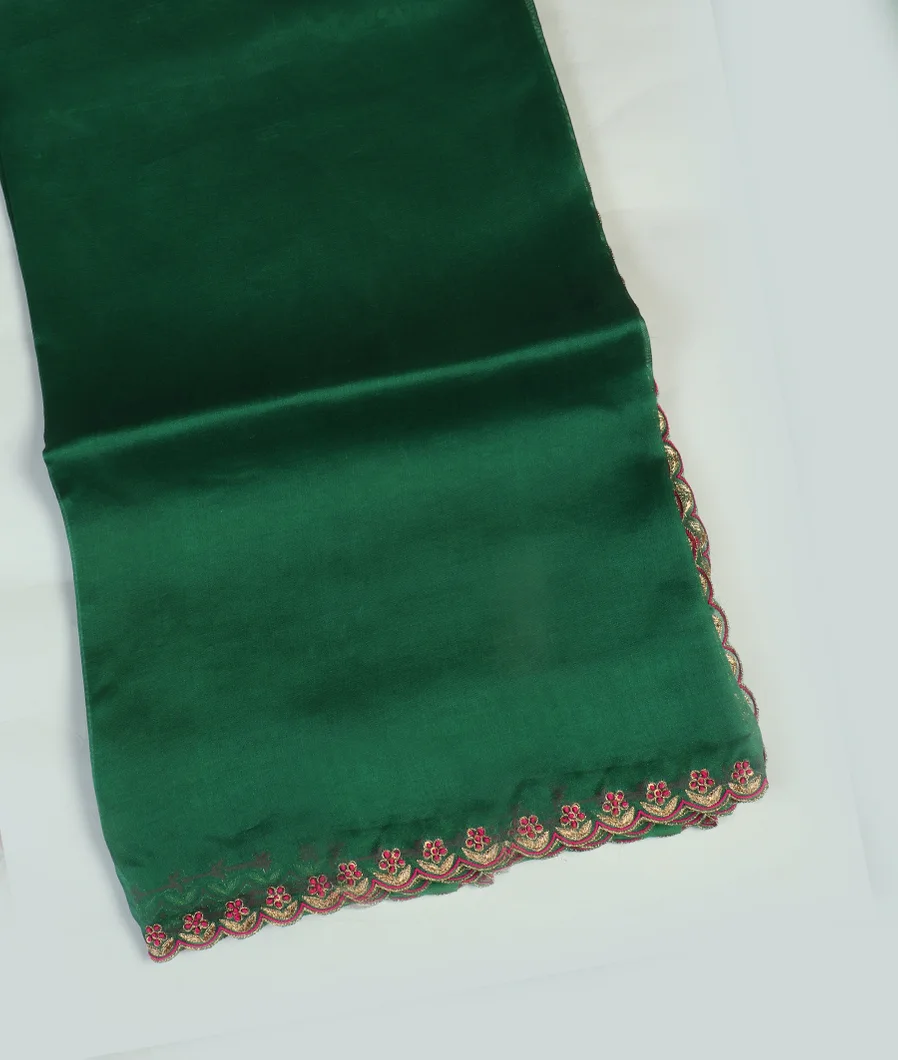 Green Kora Organza Embroidery Saree T451434-image