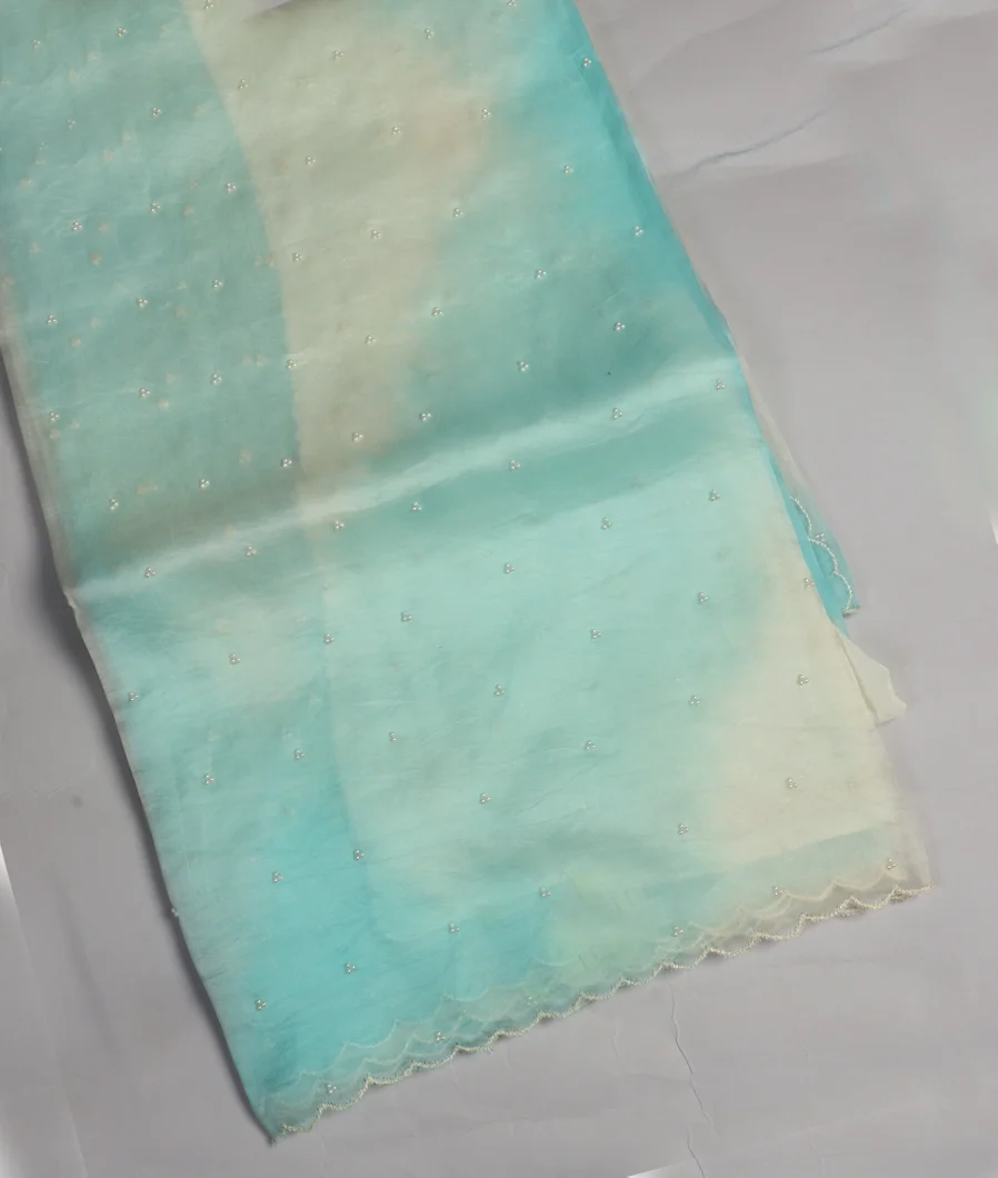 Blue Kora Organza Embroidery Saree T431875-image