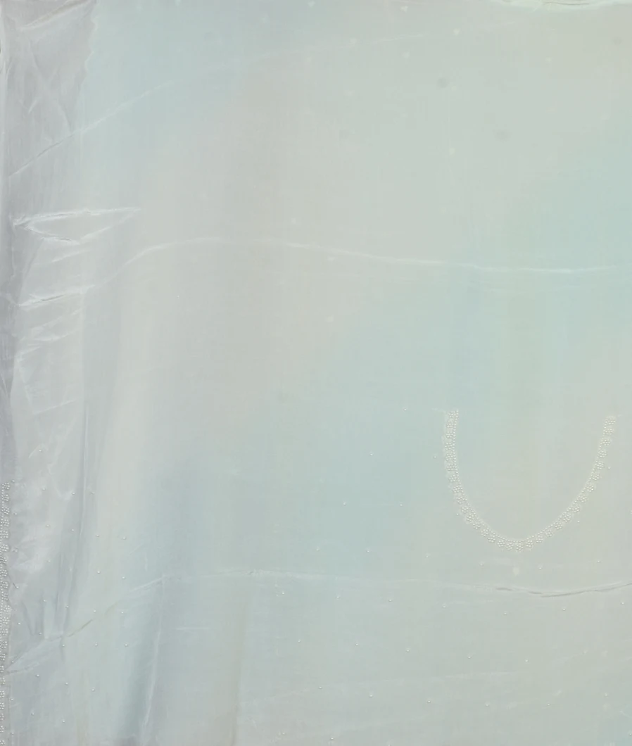 blue-kora-organza-embroidery-saree-t431875-t431875-c