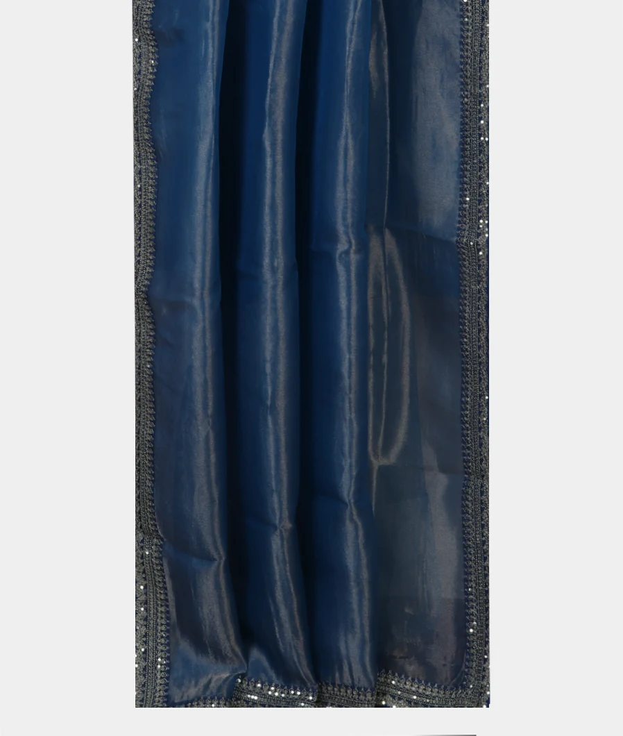 blue-kora-tissue-organza-embroidery-saree-t459455-t459455-b