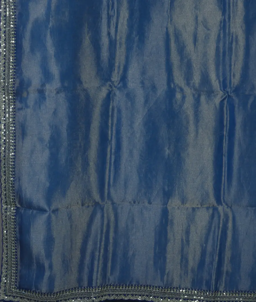 blue-kora-tissue-organza-embroidery-saree-t459455-t459455-d