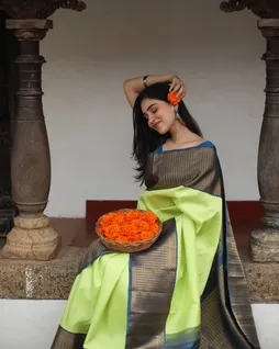 Light Green Kanjivaram Silk Saree T3992596