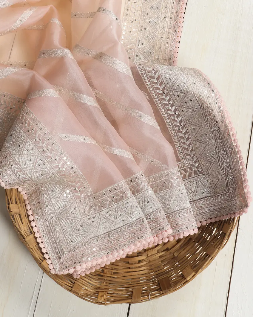 Light Pink Kora Organza Embroidery Saree T440775-image