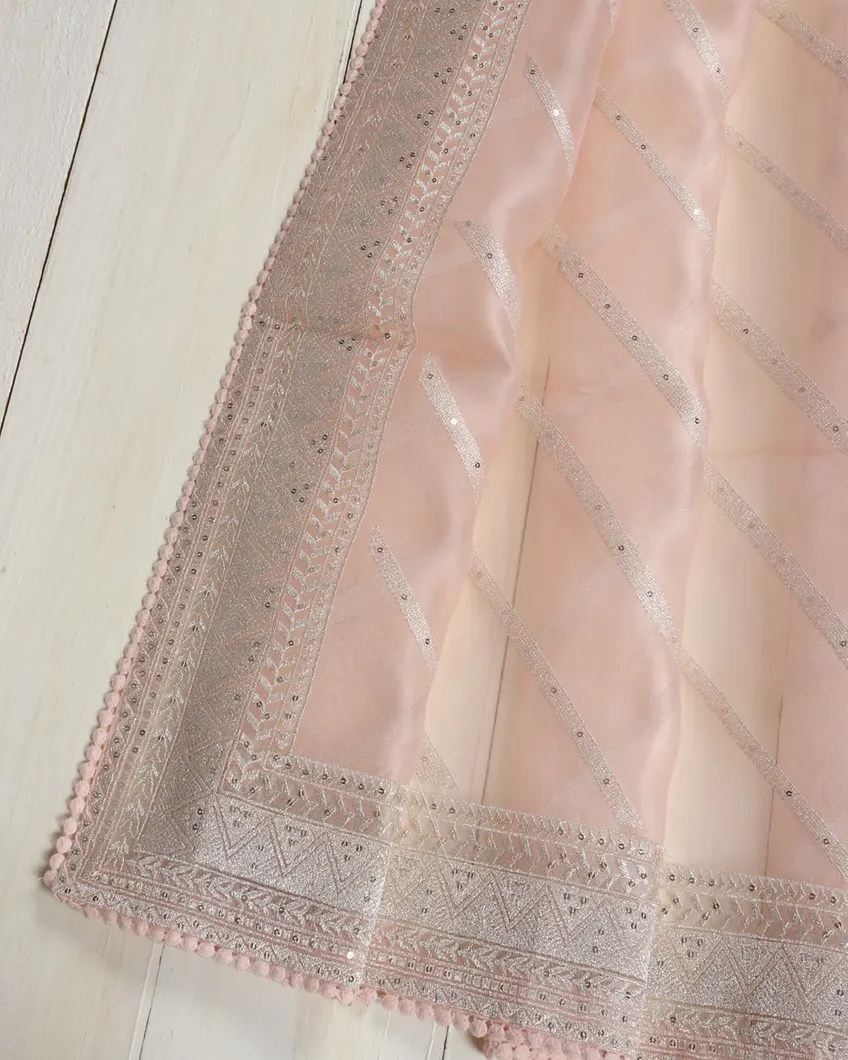 light-pink-kora-organza-embroidery-saree-t440775-t440775-d