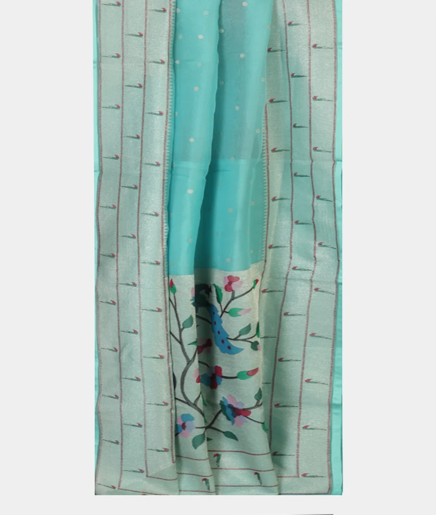 blue-kora-organza-embroidery-saree-t452950-t452950-b