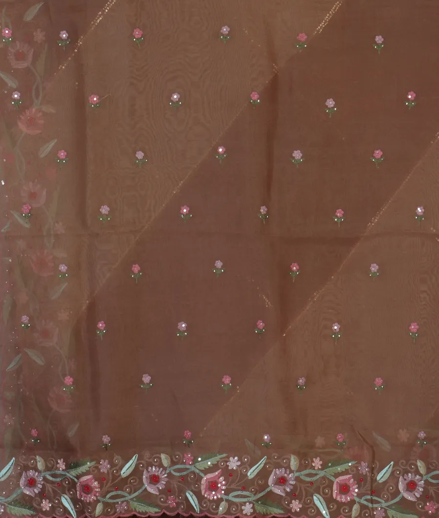 brown-kora-organza-embroidery-saree-t463088-t463088-c