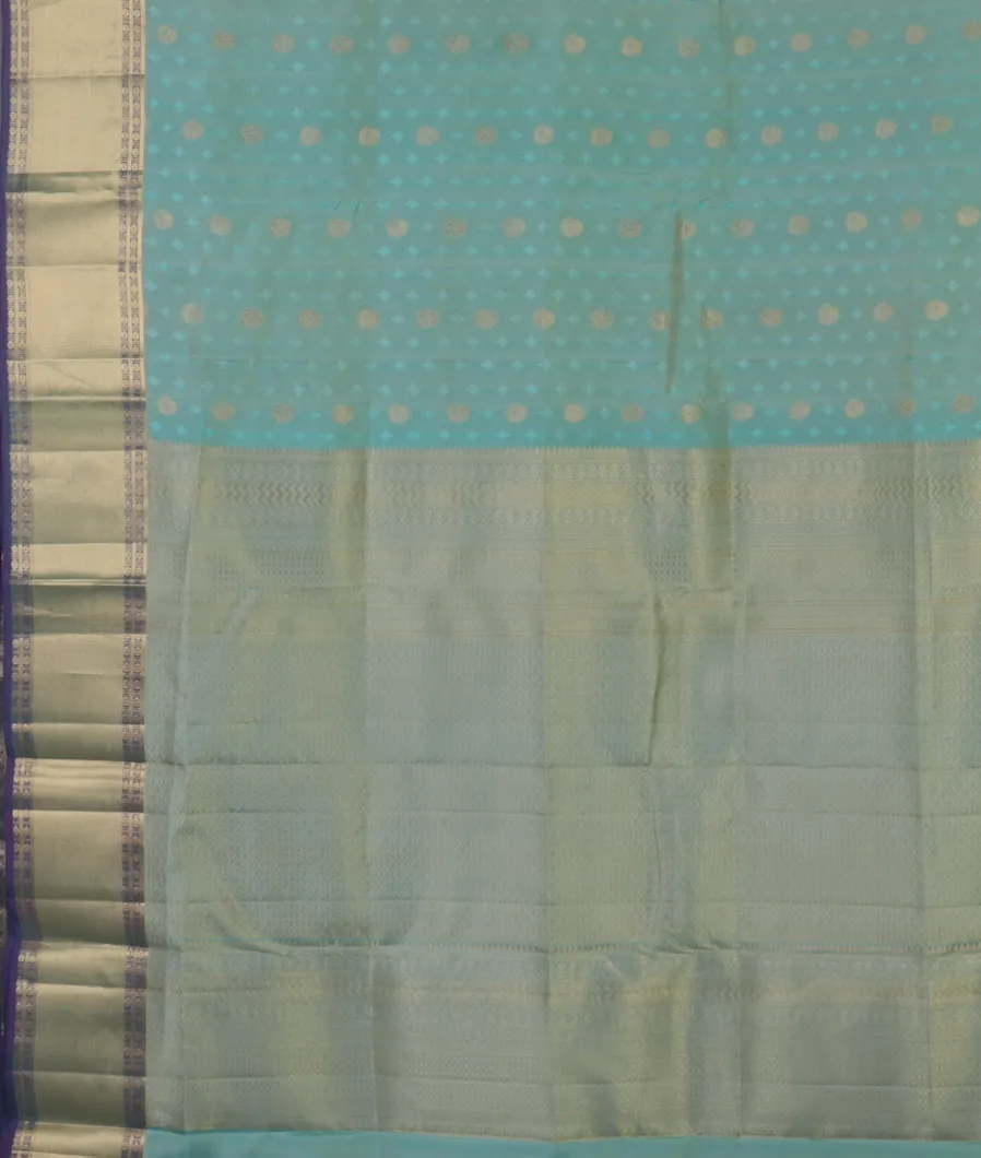 Light Blue Soft Silk Saree T4632654