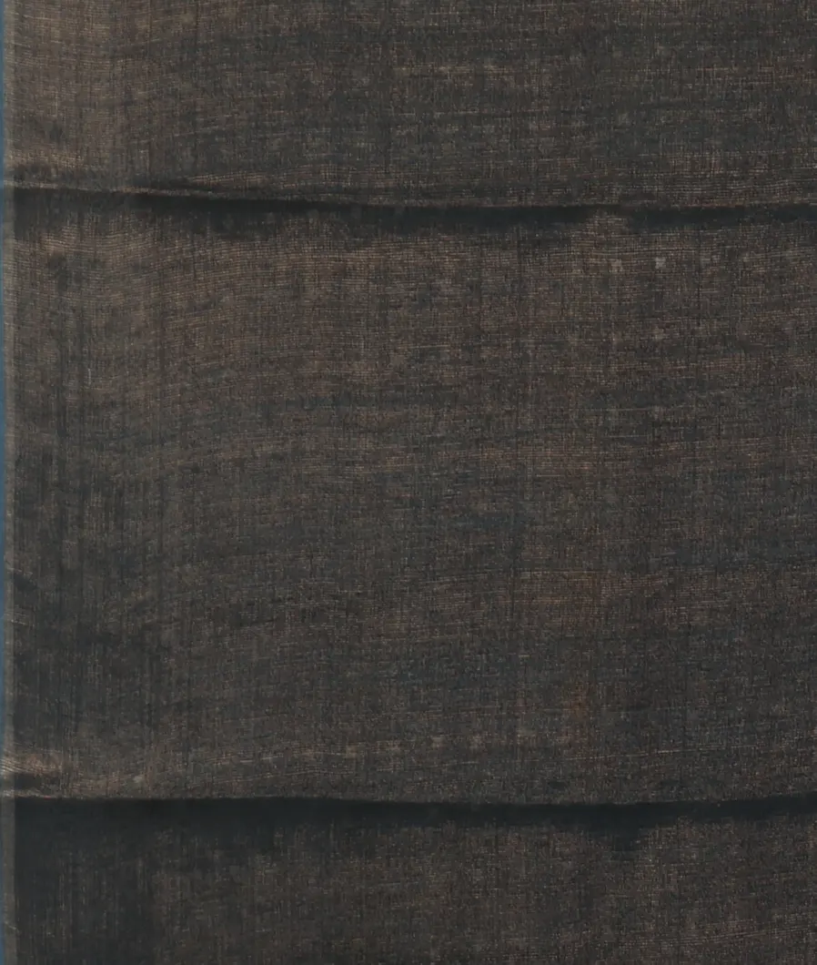 Blue Tissue Tussar Printed Saree T4645053