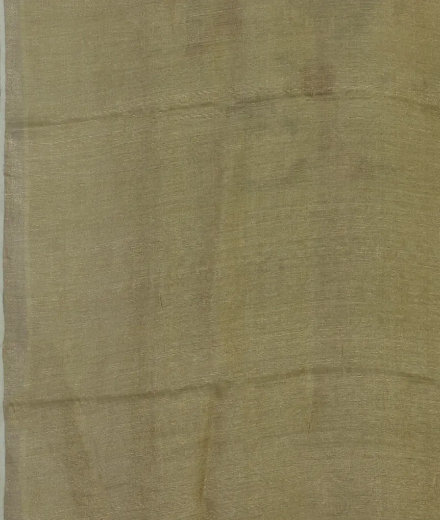 Green Tissue Tussar Printed Saree T4645043