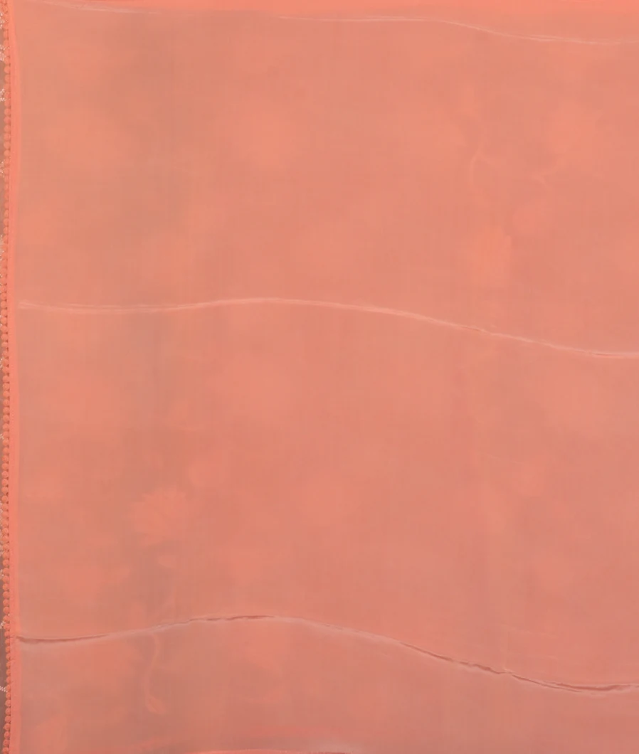 Peach Kora Organza Embroidery Saree T3738793