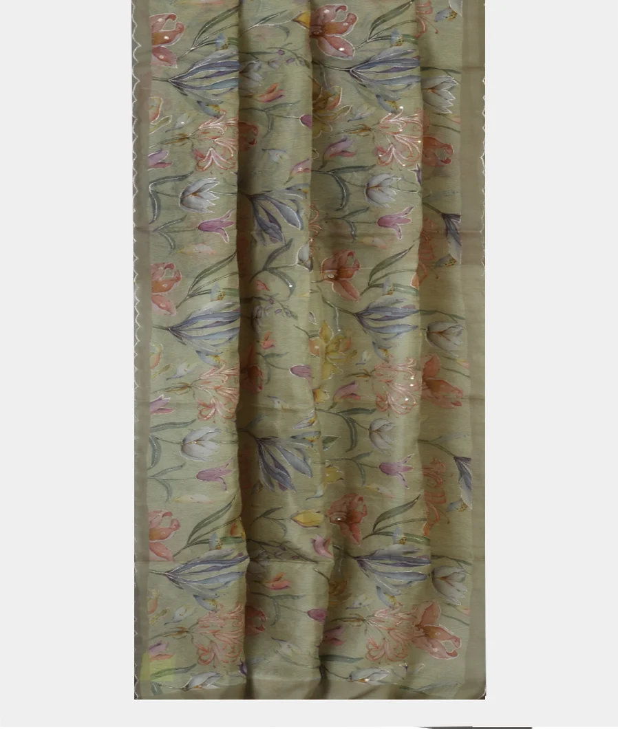 light-green-kora-organza-embroidery-saree-t463839-t463839-b