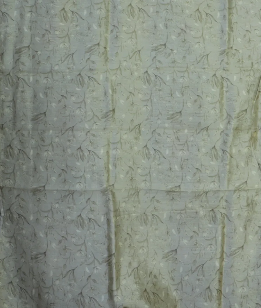 light-green-kora-organza-embroidery-saree-t463839-t463839-c