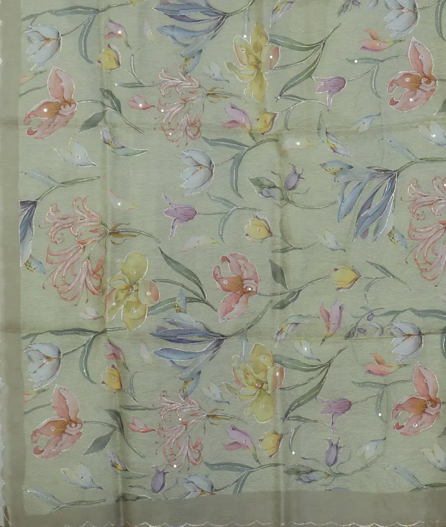 light-green-kora-organza-embroidery-saree-t463839-t463839-d