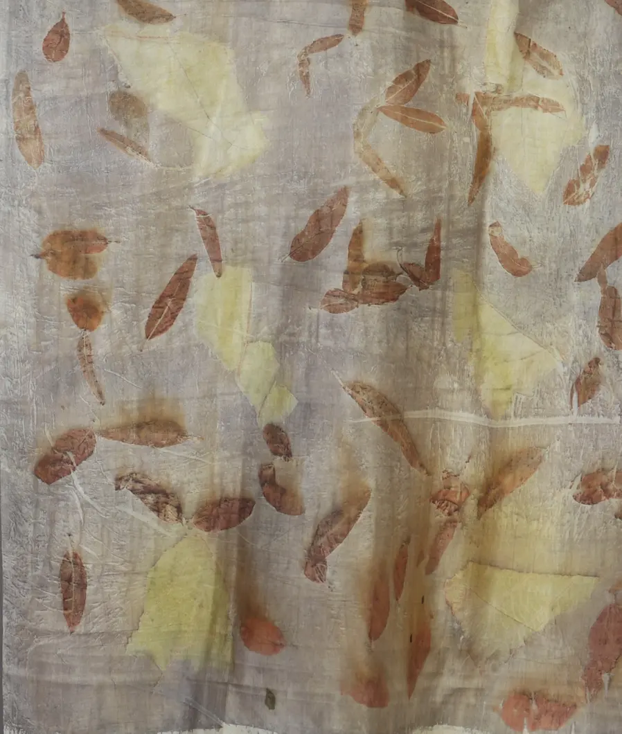 Grey Tussar Printed Saree T4522733