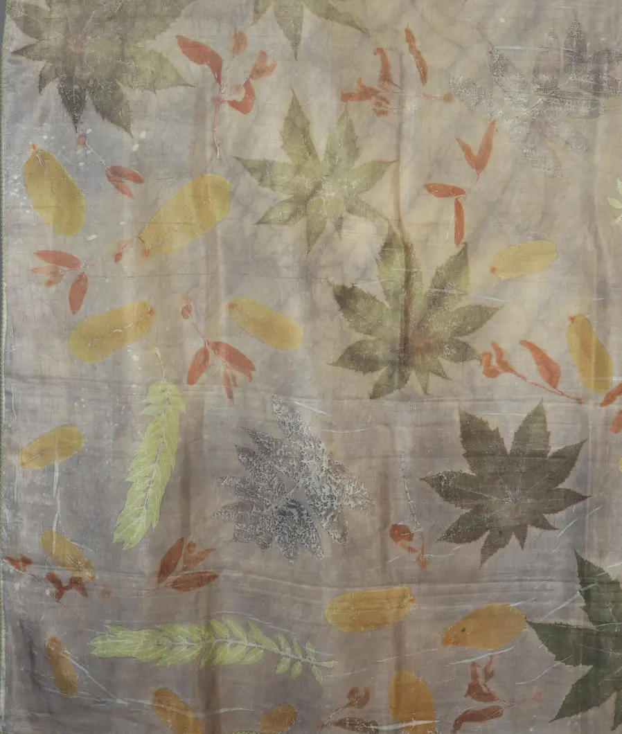 Grey Tussar Printed Saree T4522734