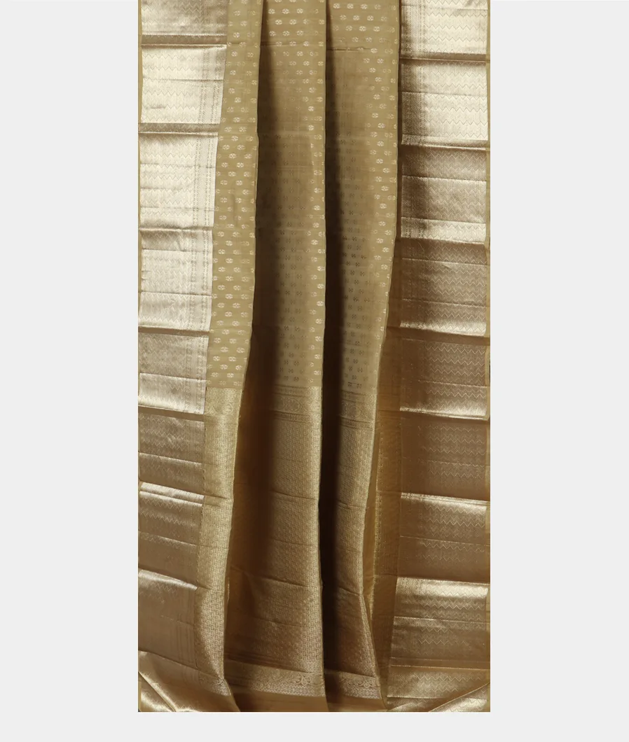Beige Handwoven Kanjivaram Silk Saree T4540272