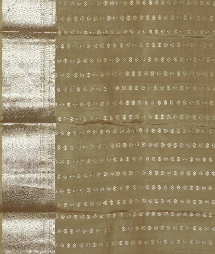 Beige Handwoven Kanjivaram Silk Saree T4540273