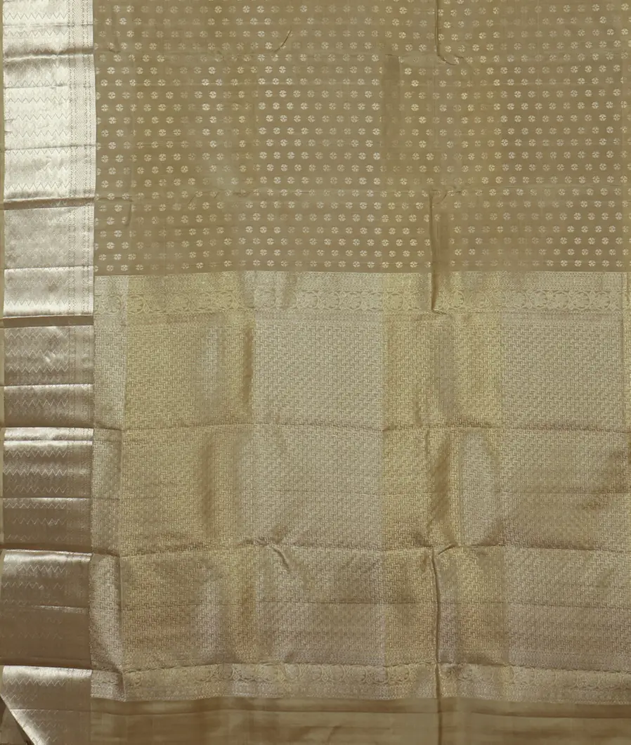 Beige Handwoven Kanjivaram Silk Saree T4540274