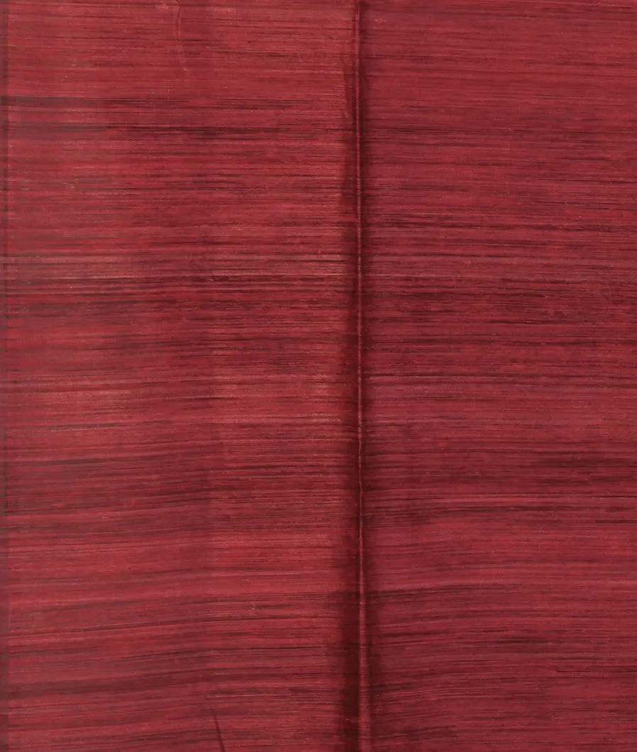 Red Handwoven Tussar Saree T4639173