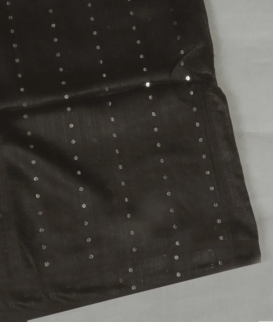 Black Handwoven Tussar Saree T463983-image