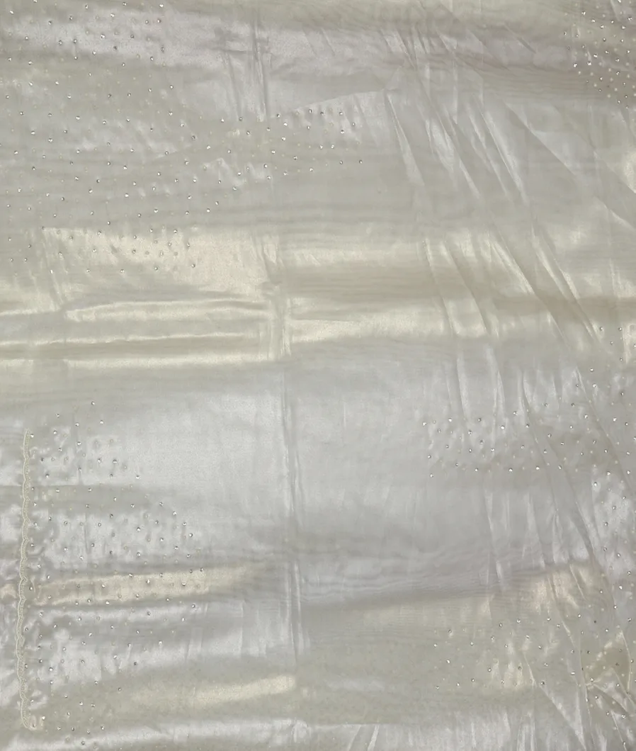 silver-tissue-kora-organza-saree-t449332-t449332-c