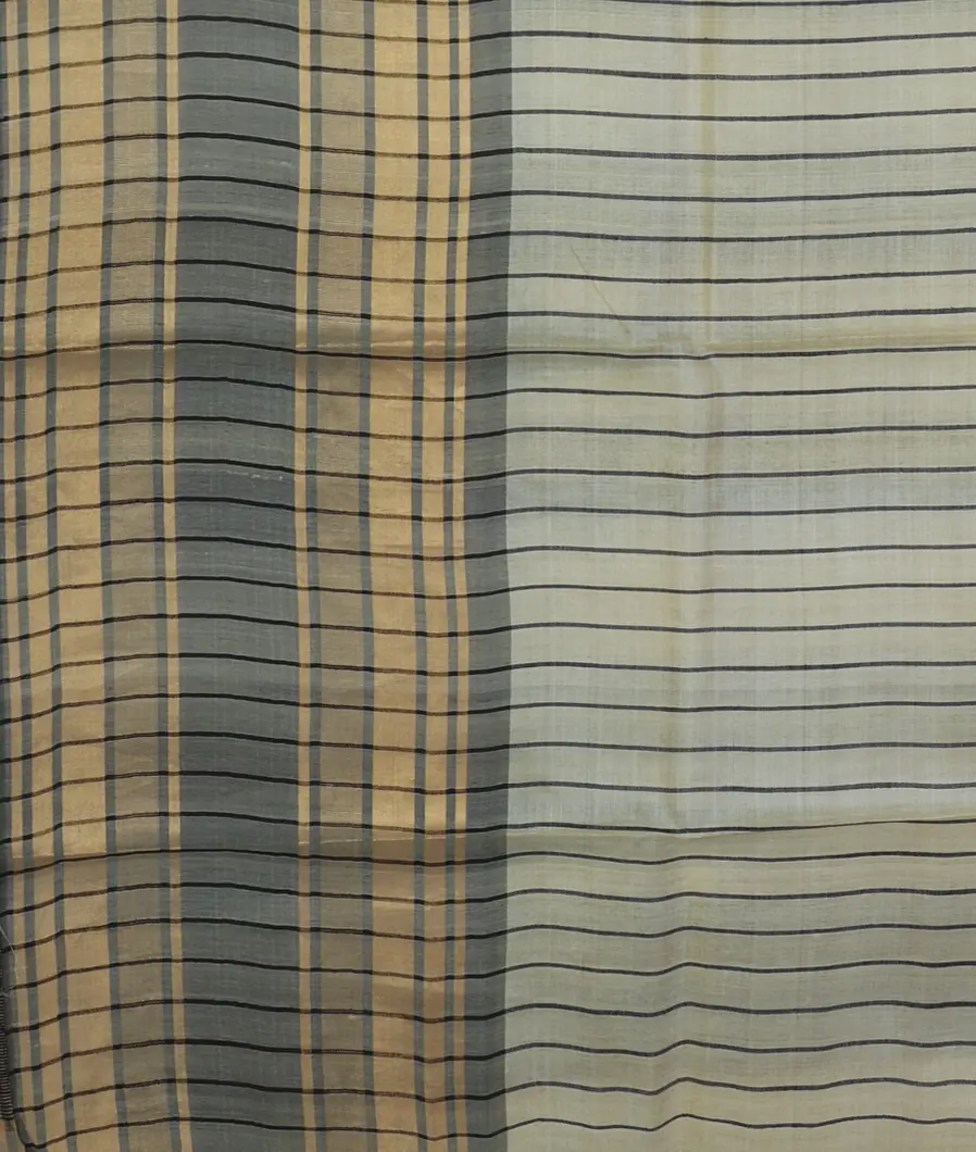 Beige Woven Tussar Saree T3823444