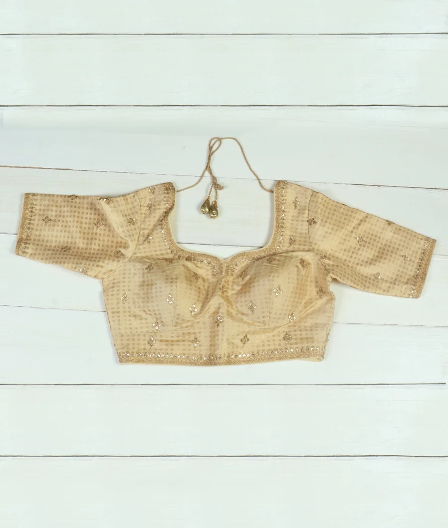 Beige Handwoven Kanjivaram Silk Blouse T70094-image