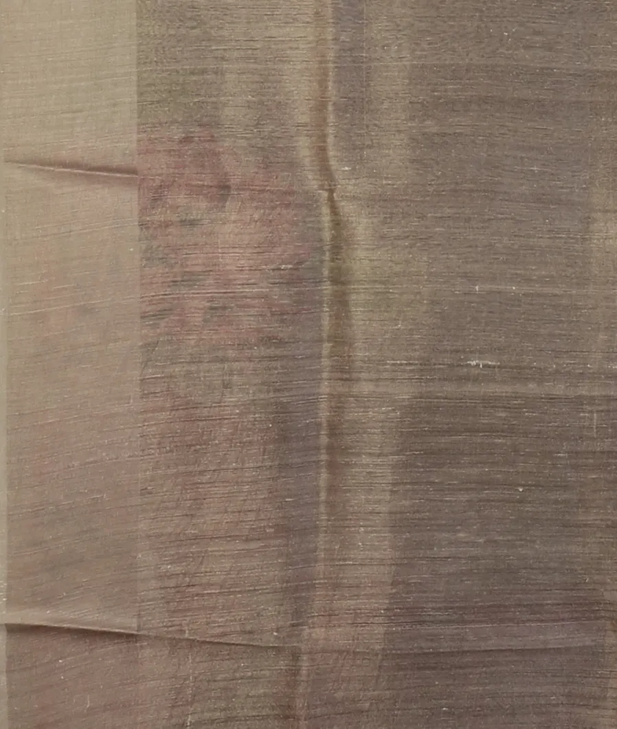 Grey Tussar Printed Saree T4698423