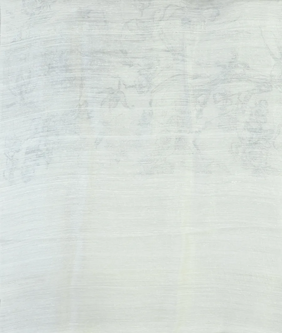 white-kora-tussar-saree-t463807-t463807-c