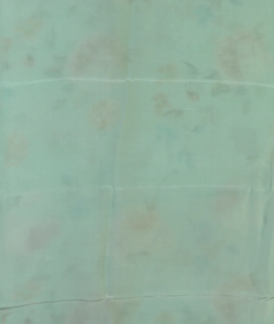 Light Green Chiffon Silk Saree T4699443