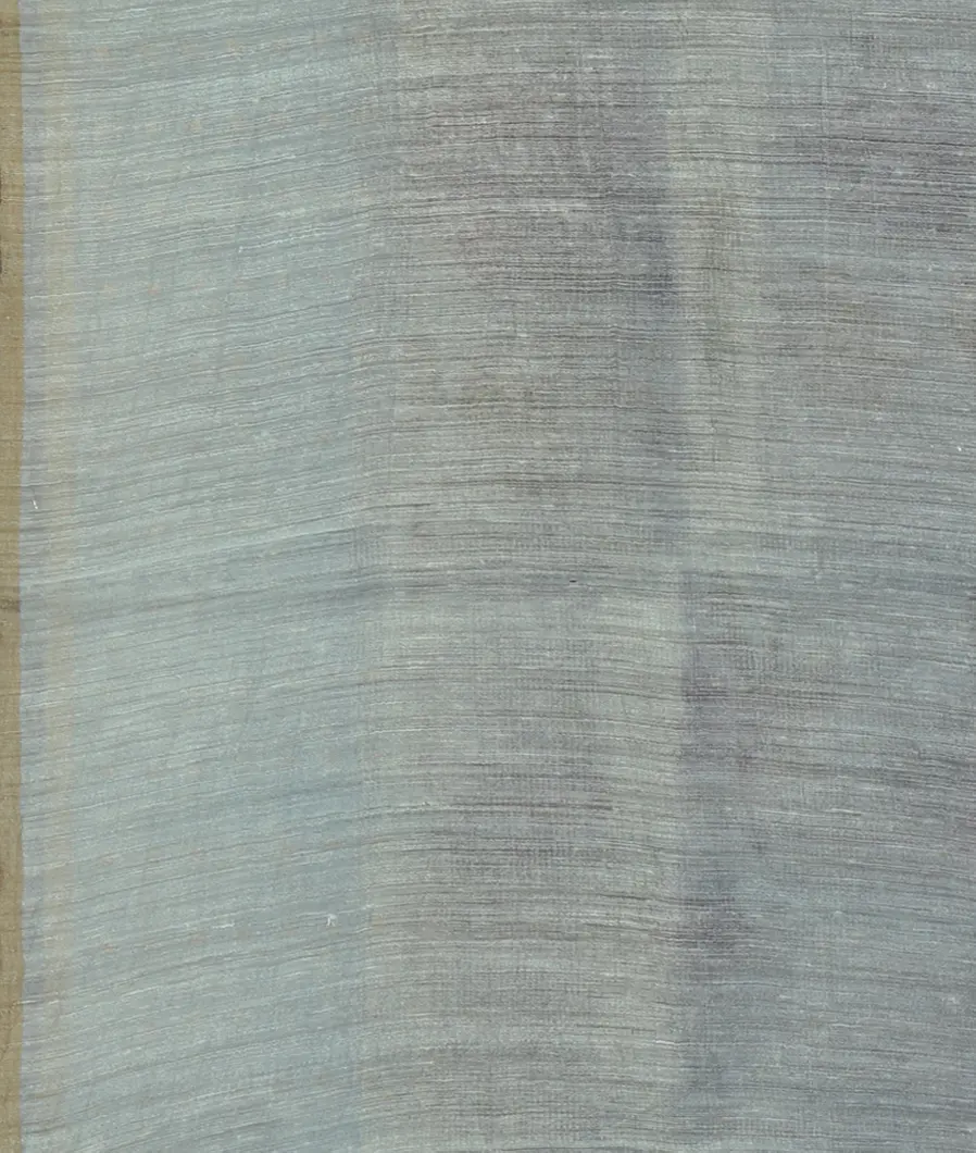 Blue Tissue Organza Printed Saree T4716443