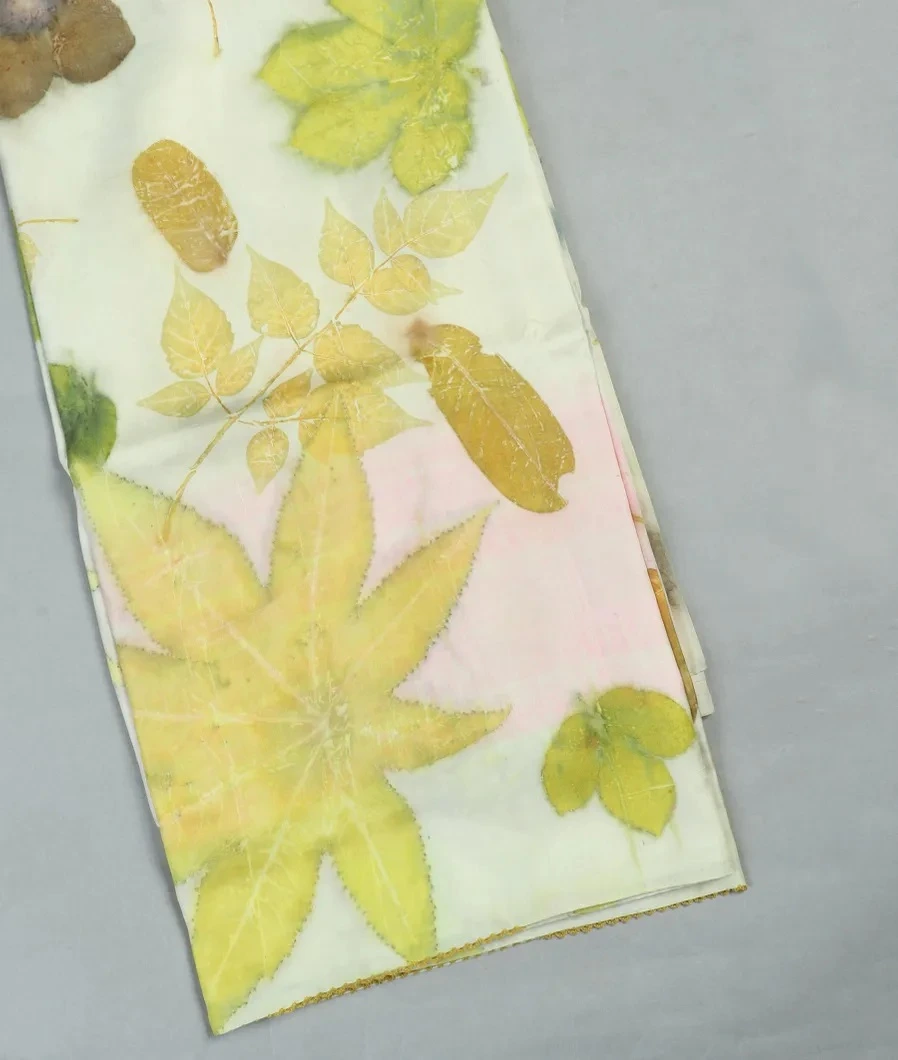 Off-White Pure Silk Saree T4522784