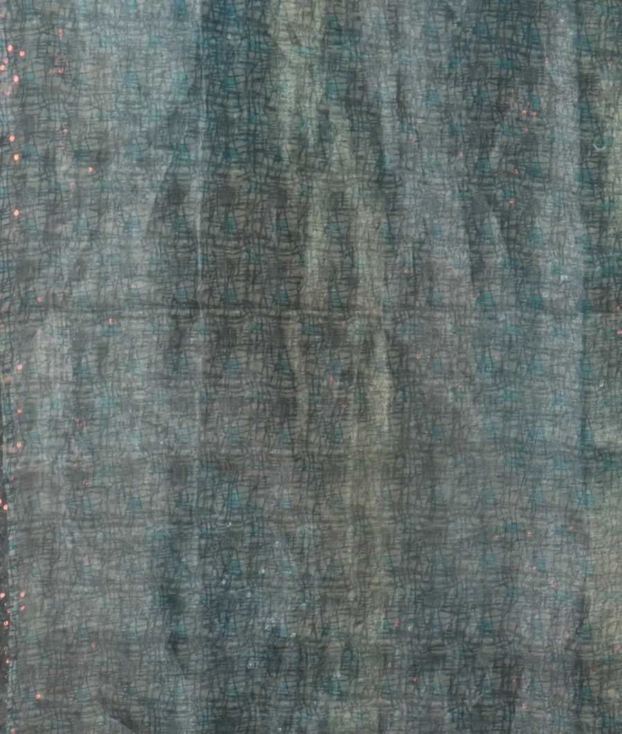 Grey Tissue Organza Printed Saree T4720673