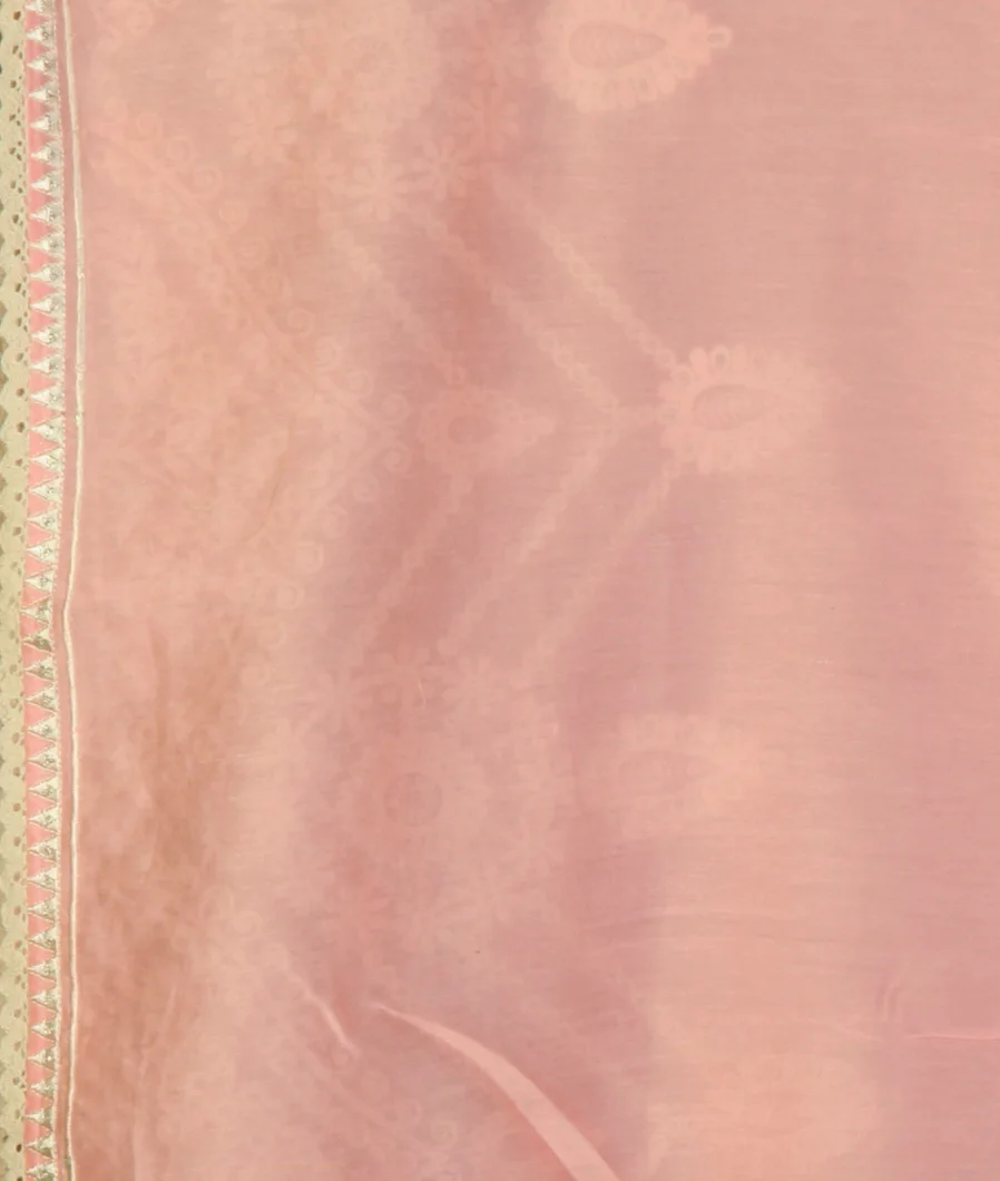 Pink Kora Organza Embroidery Saree T4131683