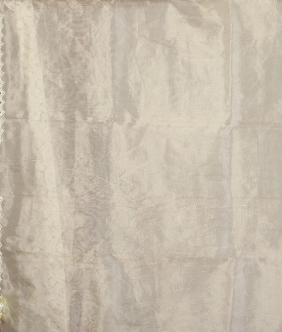 white-tissue-kora-organza-saree-t462152-t462152-c