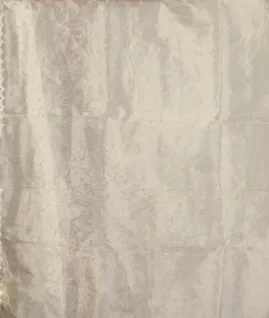 White Tissue Kora Organza Saree T4621523
