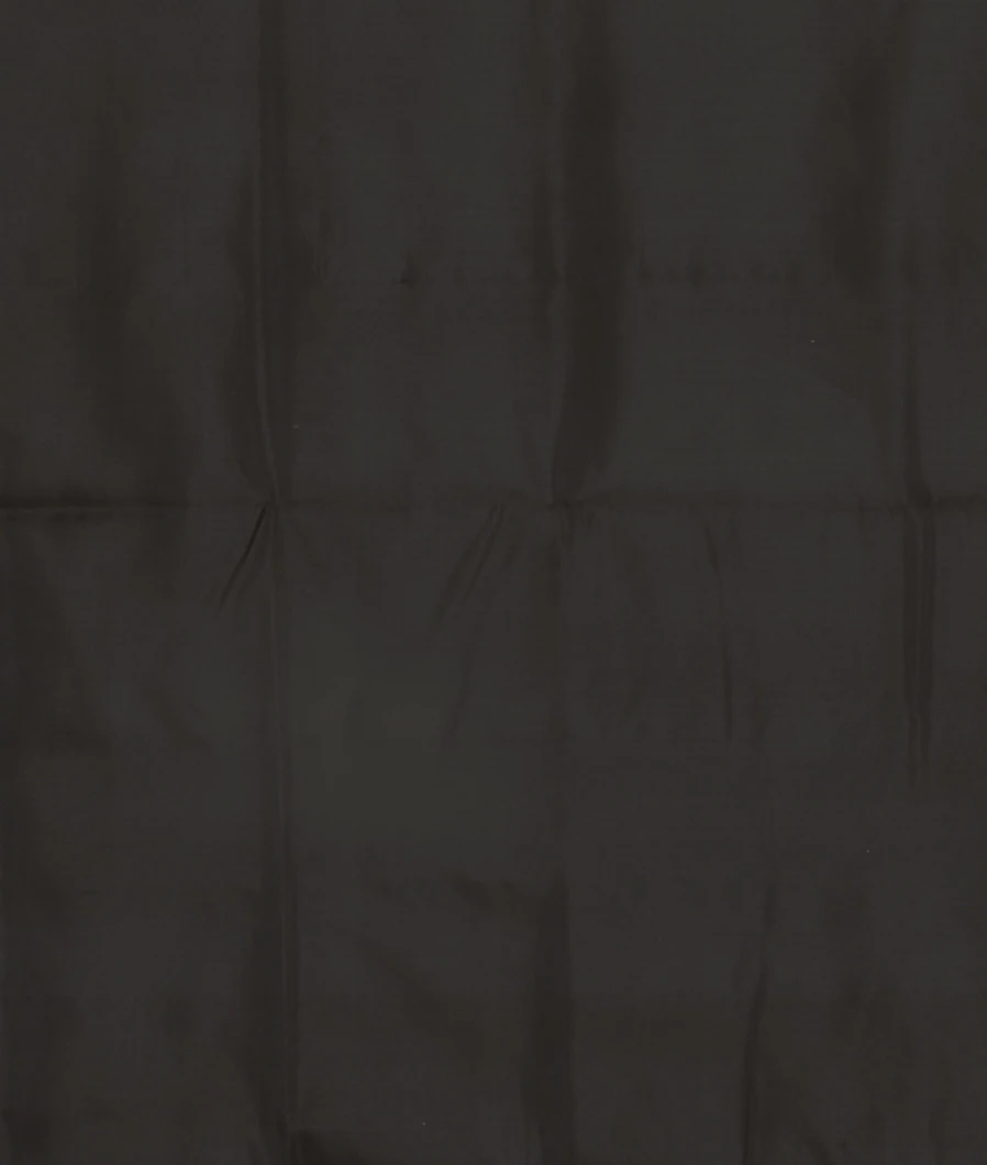 Off - White Patola Silk Saree T4765503