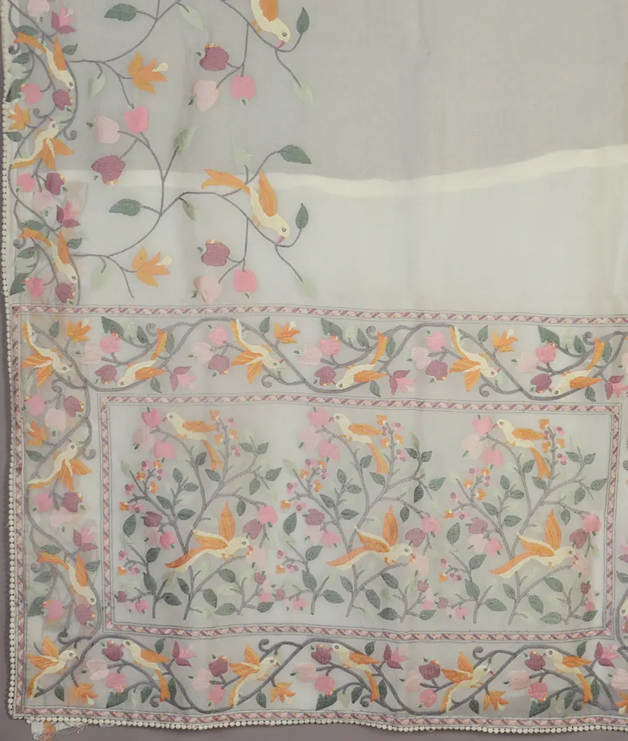 white-kora-organza-embroidery-saree-t473884-t473884-d