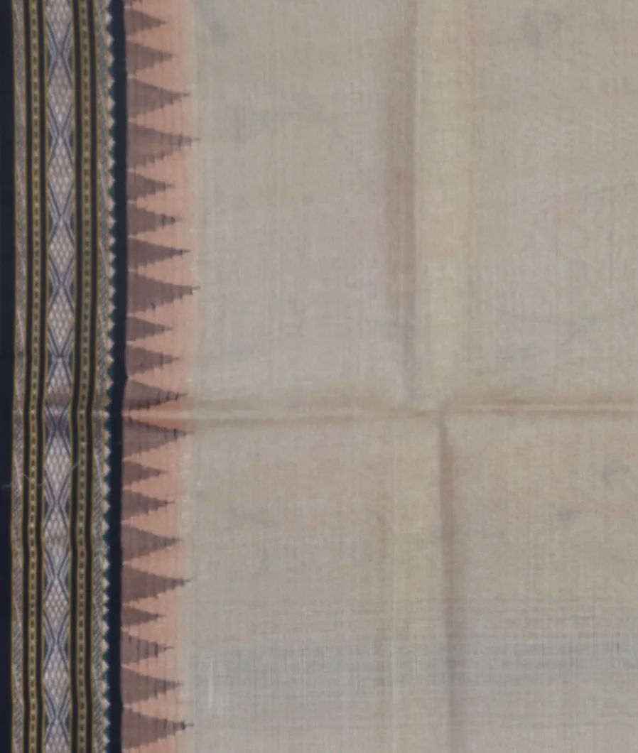 light-grey-vidarbha-tussar-saree-t469929-t469929-c