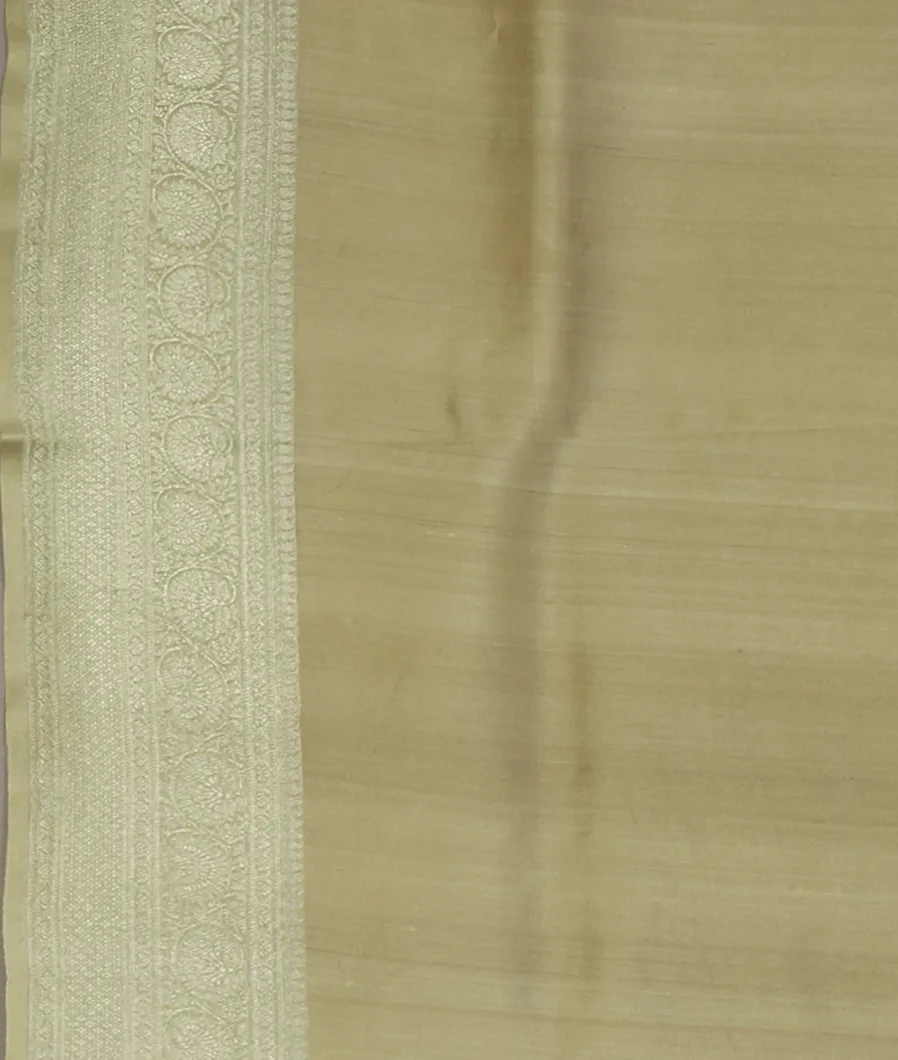 Greenish Beige Printed  Banaras Kathan Silk Saree T4093643