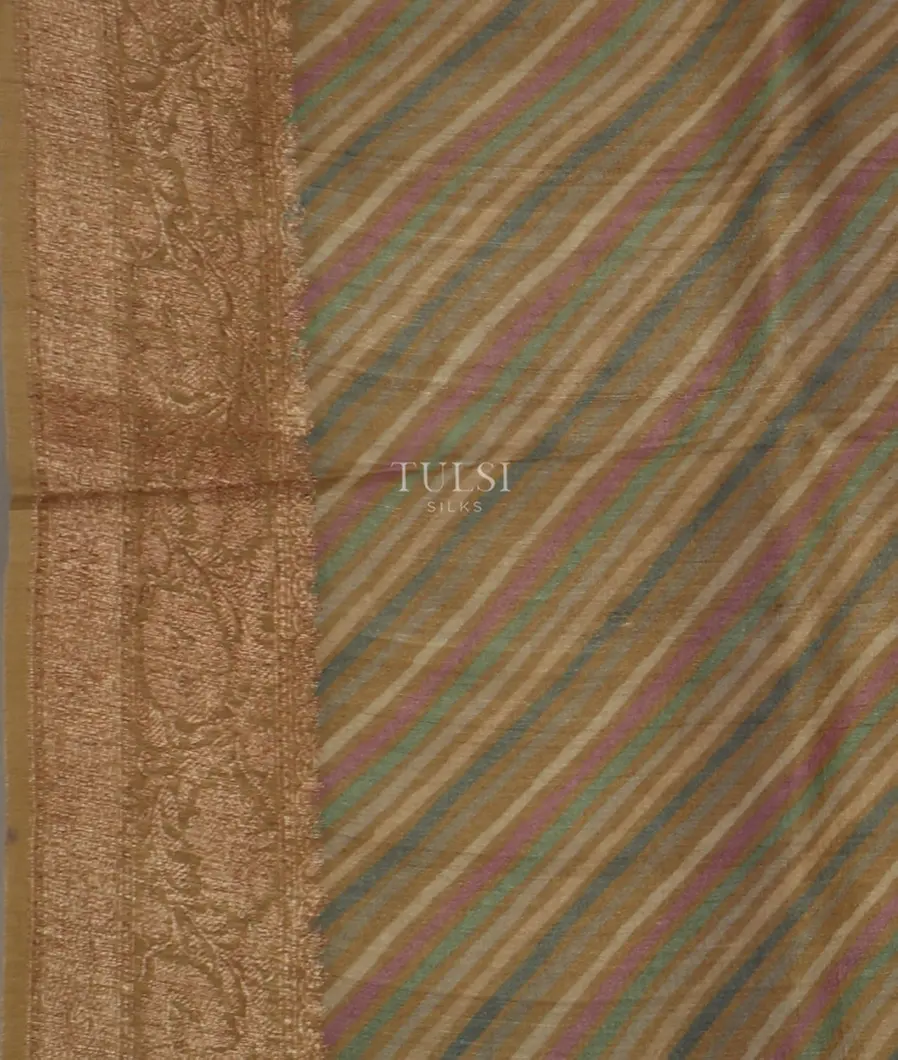 Beige Printed Banaras Tussar Georgette Saree T4161133