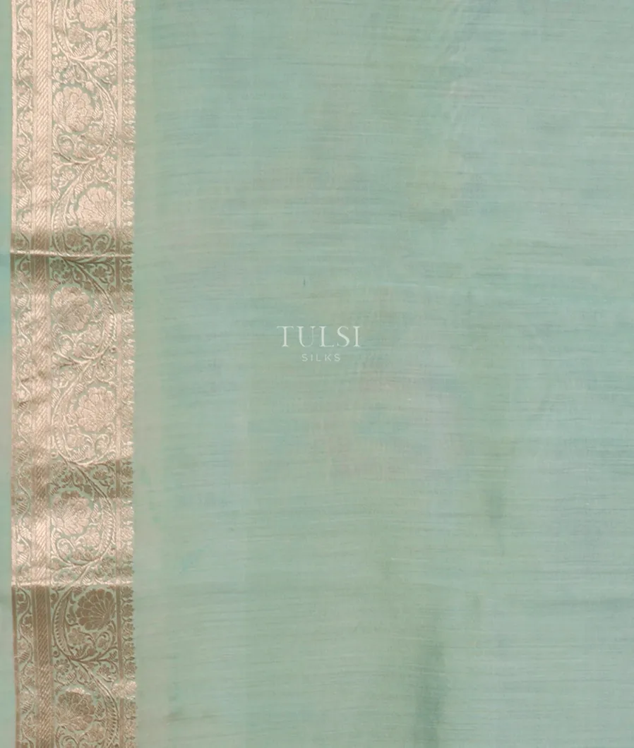 Green Kora Organza Printed Saree T4769223