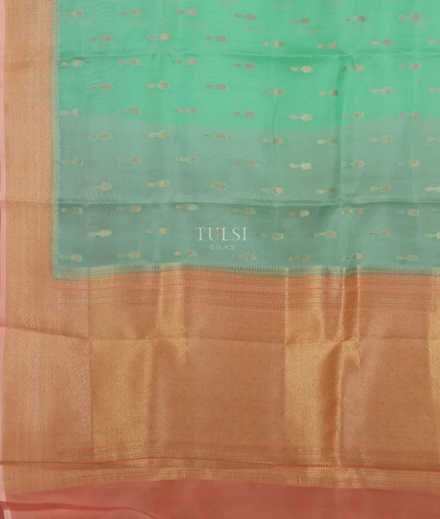 green-banaras-organza-saree-t425965-t425965-d