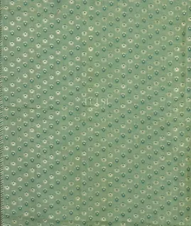 Green Kashmir Kani Silk Saree T4701013