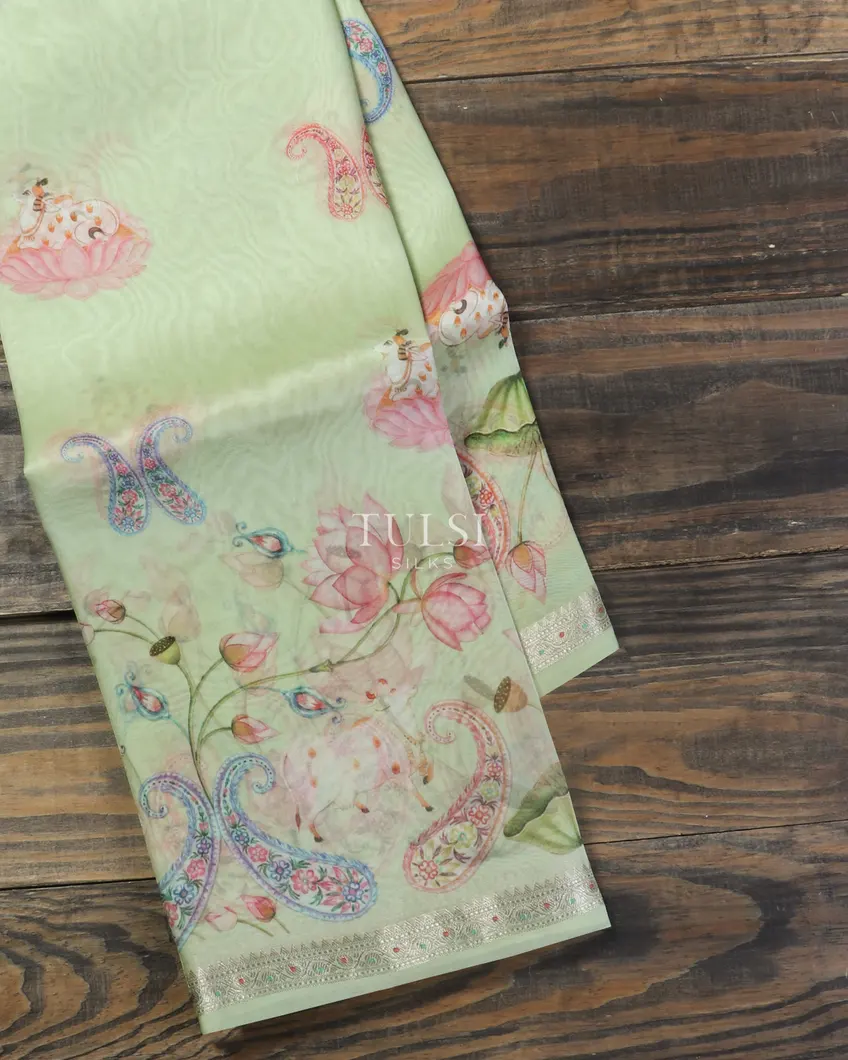 Green Kora Organza Printed Saree T477275-image