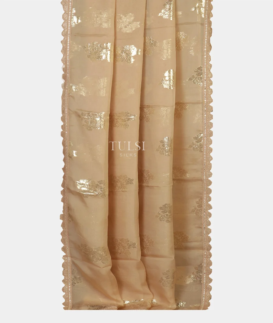 Beige Kora Organza Embroidery Saree T4739592